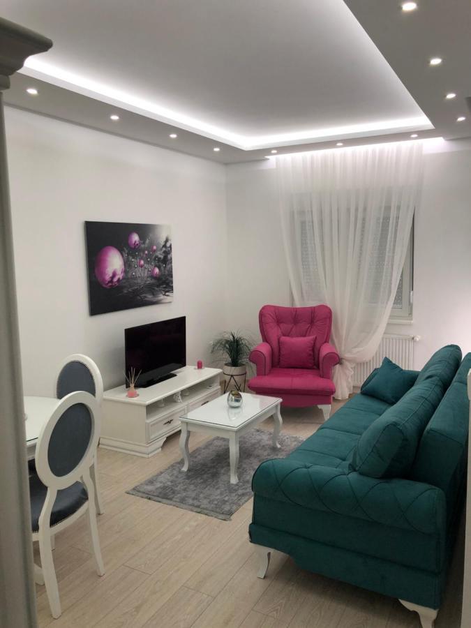 Jezdic 2 Apartment Banja Koviljaca